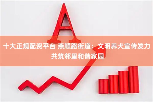 十大正规配资平台 燕顺路街道：文明养犬宣传发力 共筑邻里和谐家园