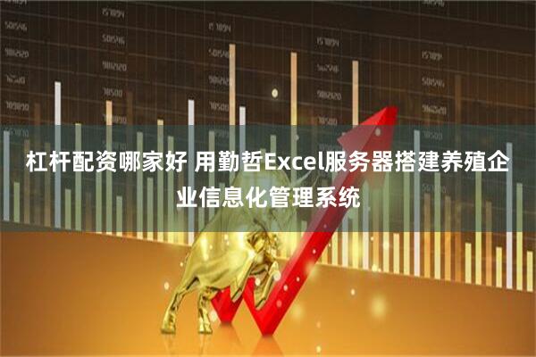 杠杆配资哪家好 用勤哲Excel服务器搭建养殖企业信息化管理系统
